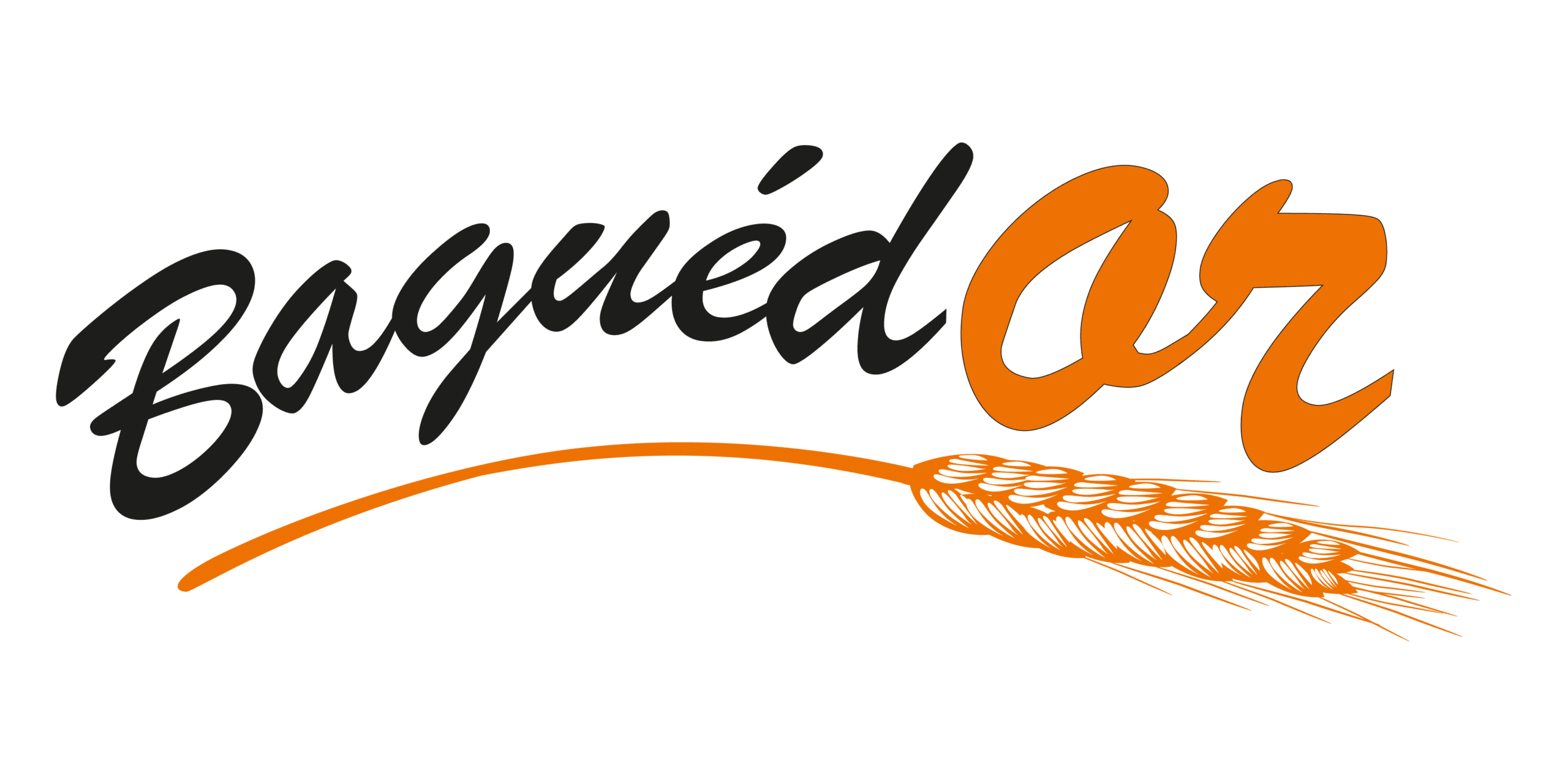 LOGO_BAGUEDOR-2 LOGO_BAGUEDOR-2